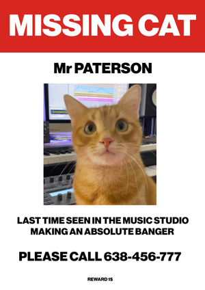 Tshirt - Missing Cat x Mr Patterson